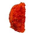 Chamoy Watermelon Sandia Mexican Candy